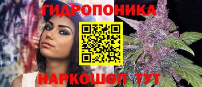 бошки Ачхой-Мартан